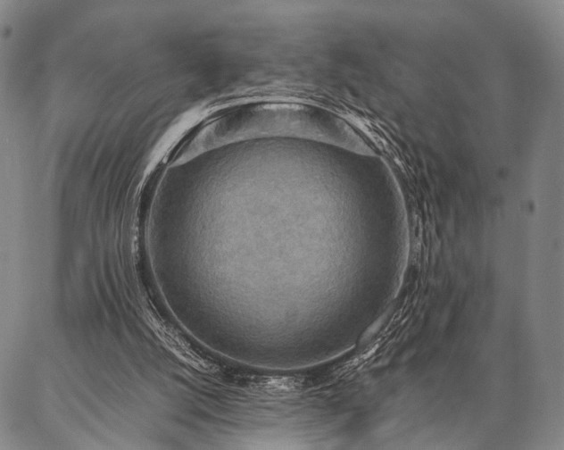 X0000086920056200704231315