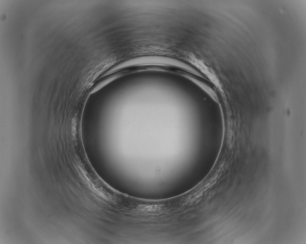 X0000086920057200704231315