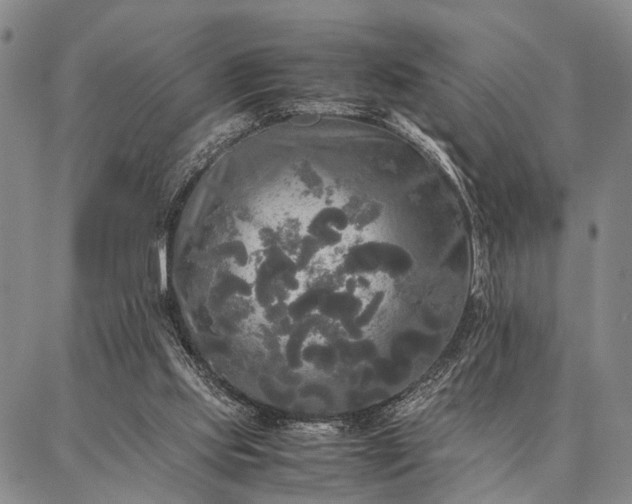 X0000086920061200704231315