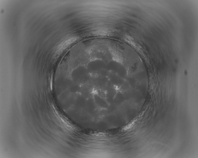 X0000086920062200704231315
