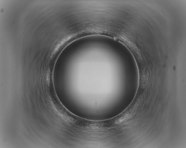 X0000086920064200704231315