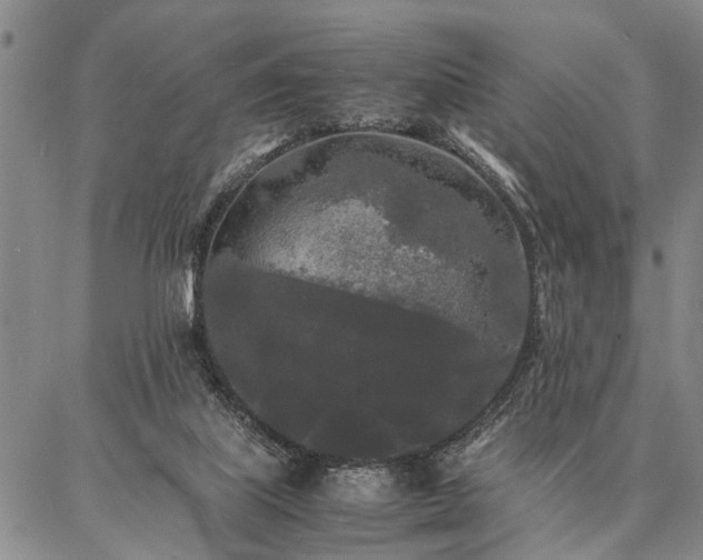 X0000086920067200704231316