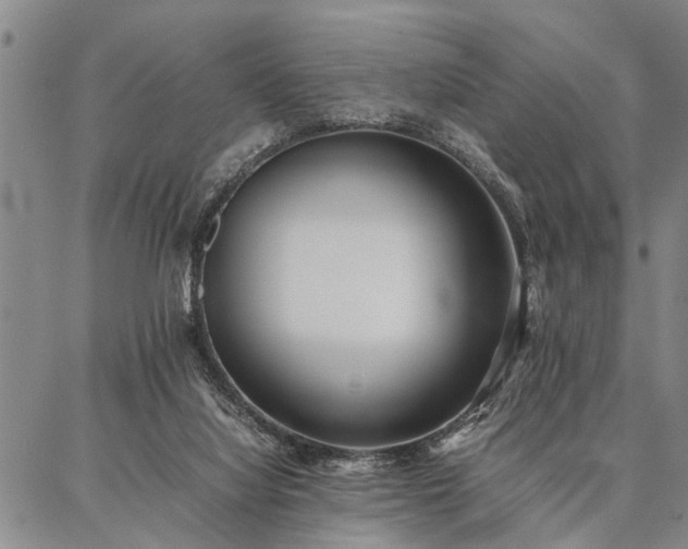 X0000086920068200704231316