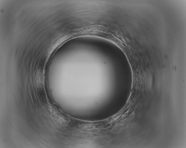 X0000086920100200704231315