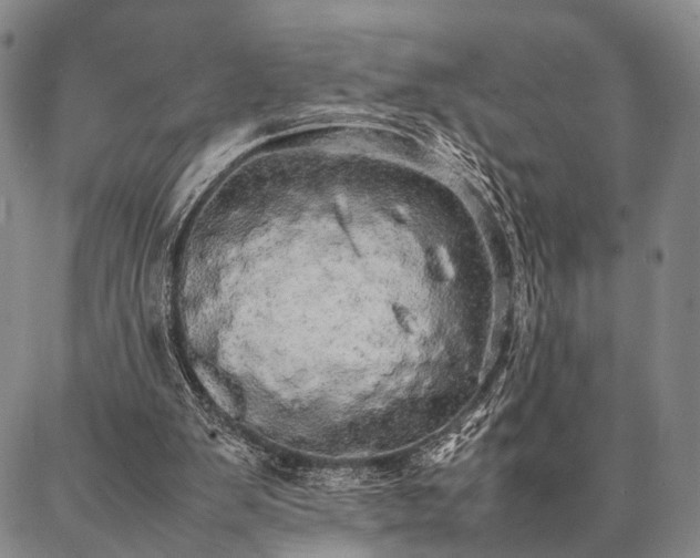 X0000086920103200704231315