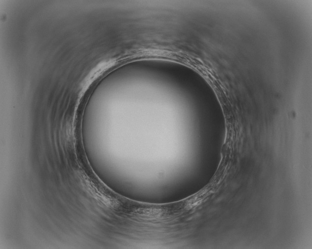 X0000086920104200704231315