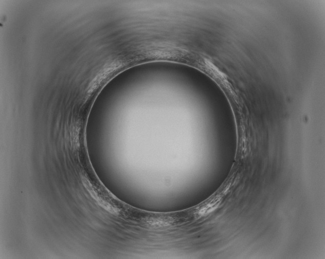 X0000086920106200704231315