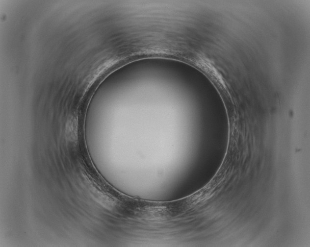 X0000086920108200704231315