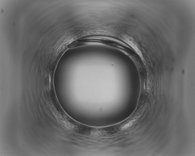X0000086920109200704231315