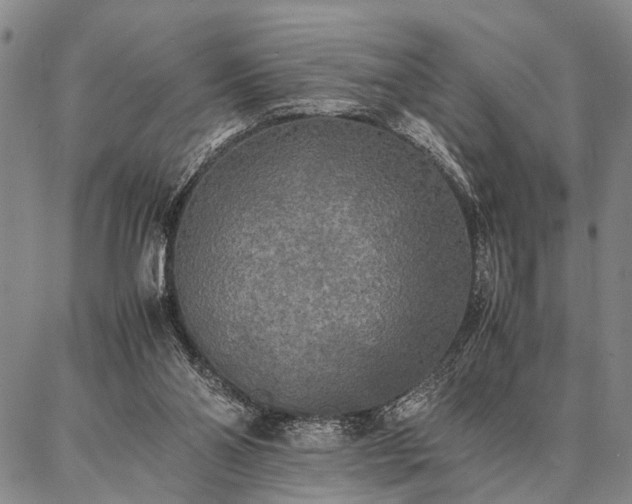 X0000086920110200704231315