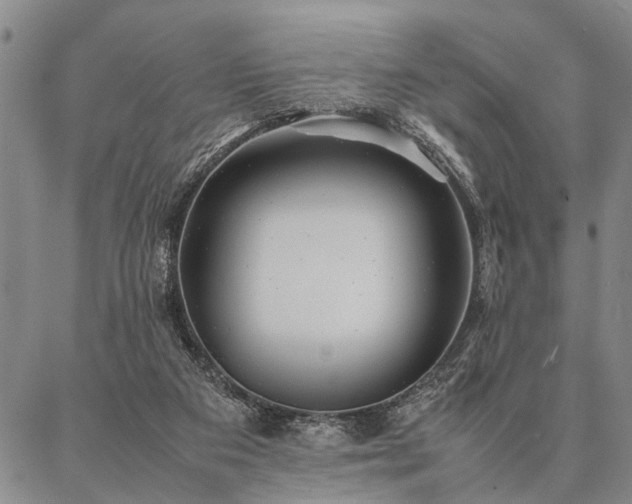 X0000086920113200704231315