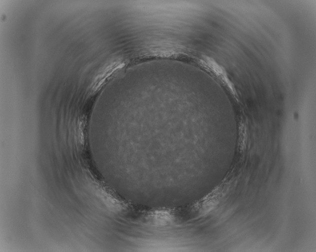 X0000086920114200704231315