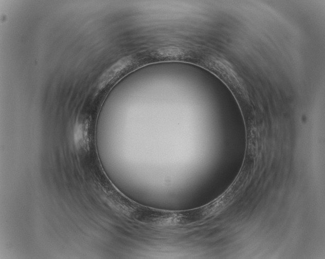 X0000086920116200704231315