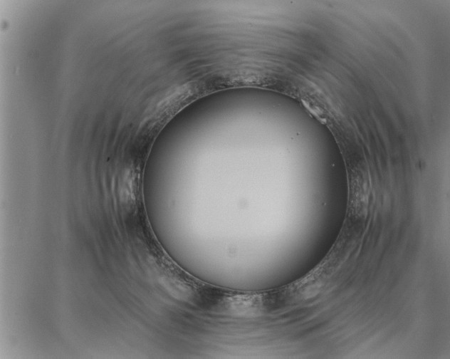 X0000086920126200704231315