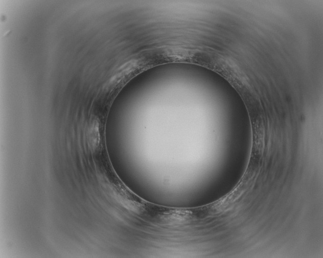 X0000086920128200704231315