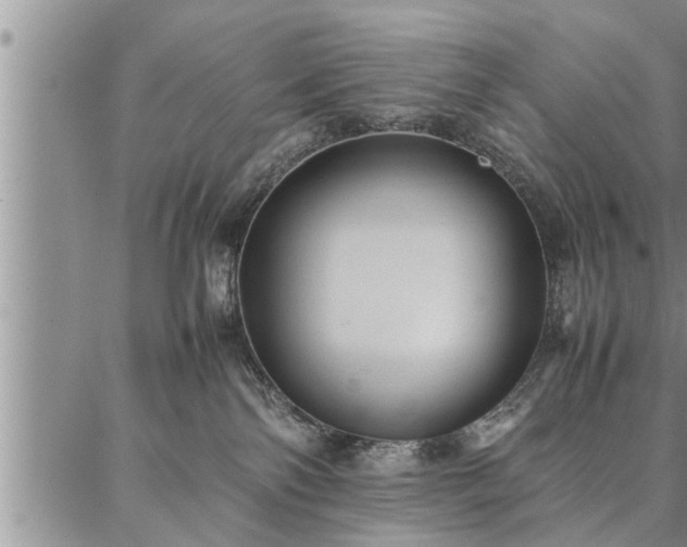 X0000086920138200704231315