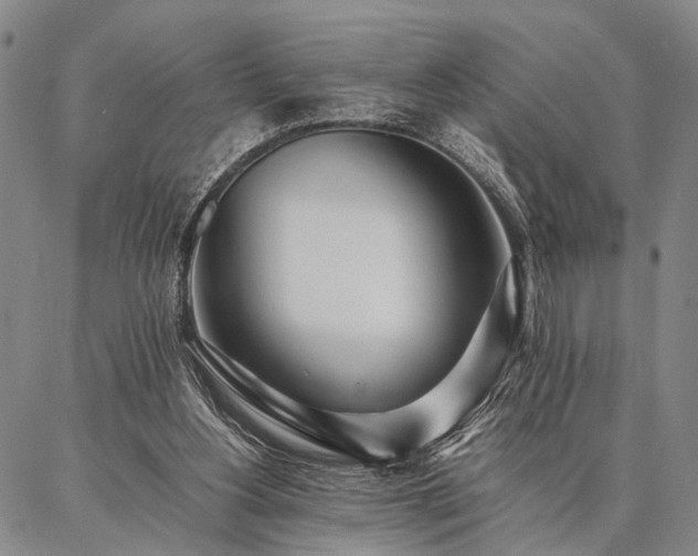 X0000086920156200704231314