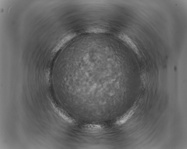 X0000086920159200704231314