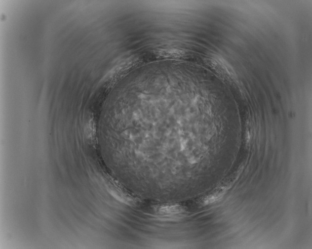 X0000086920173200704231314