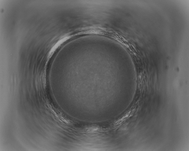 X0000086920200200704231314