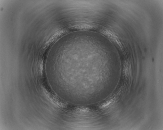 X0000086920206200704231313