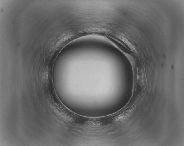 X0000086920207200704231313