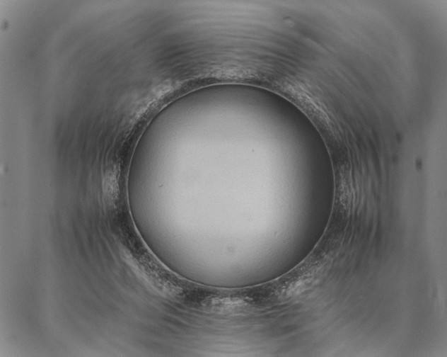 X0000086920208200704231313