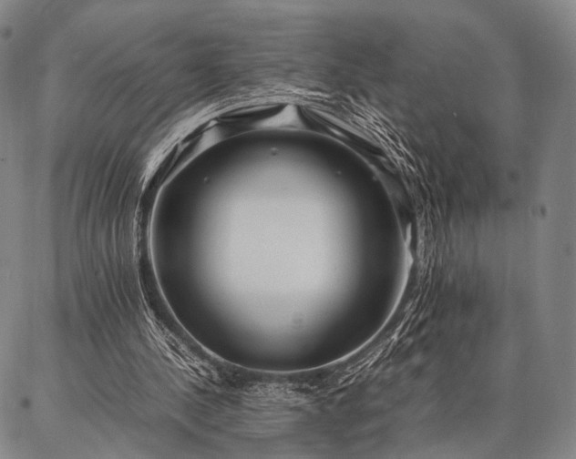 X0000086920244200704231312