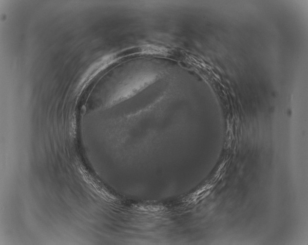 X0000086920247200704231312