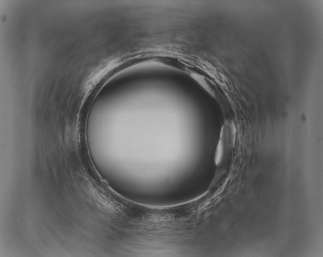 X0000086920248200704231312