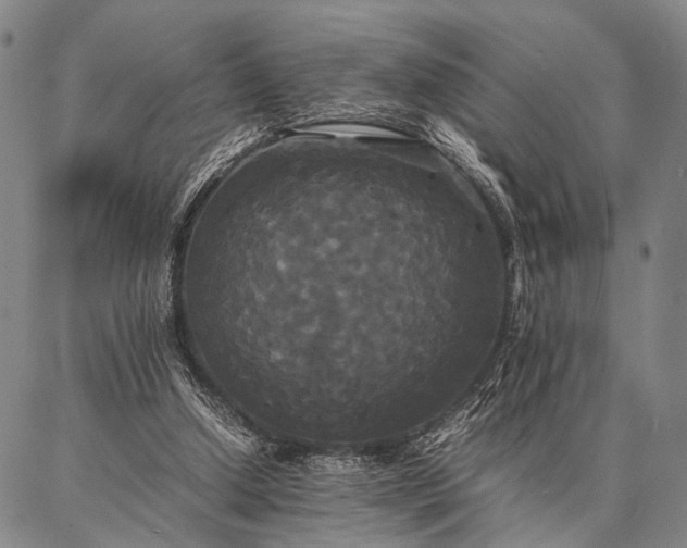 X0000086920250200704231312