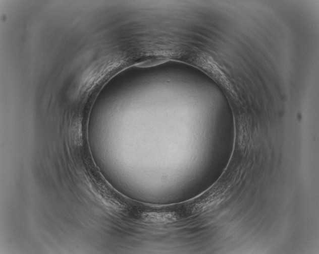 X0000086920251200704231312