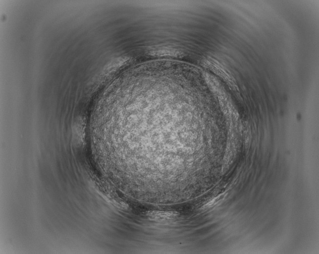 X0000086920255200704231312