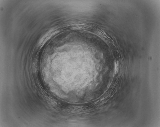 X0000086920291200704231312