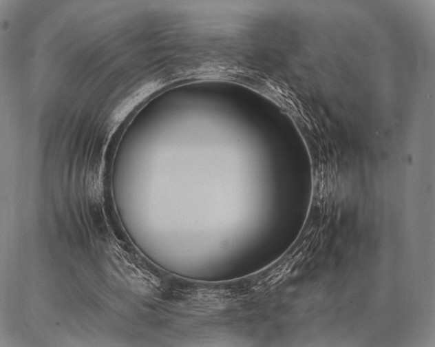 X0000086920292200704231312
