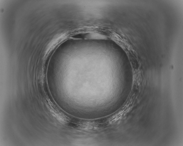X0000086920293200704231312