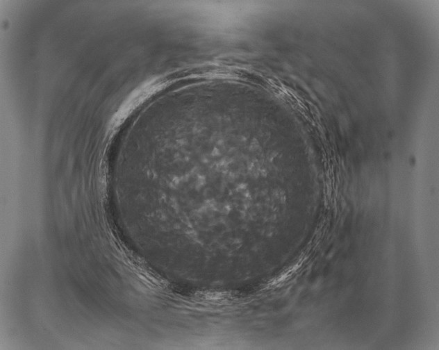 X0000086920295200704231312