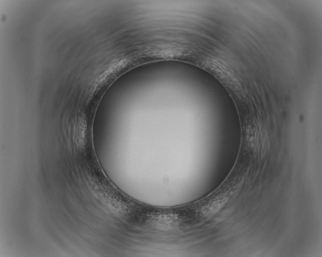 X0000086920304200704231312