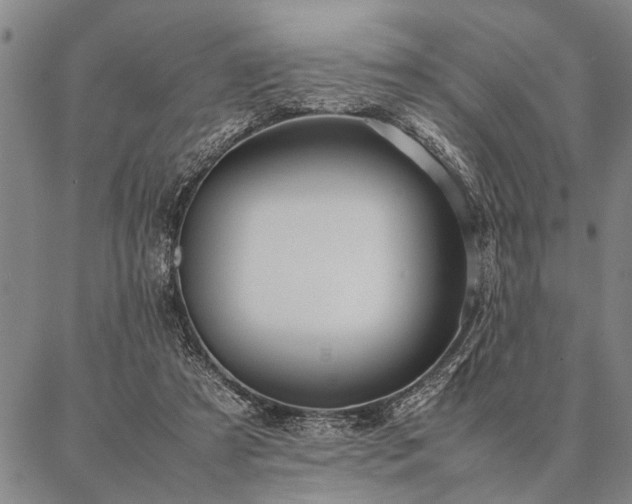 X0000086920305200704231312