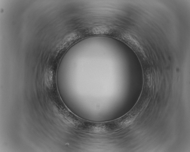 X0000086920308200704231312
