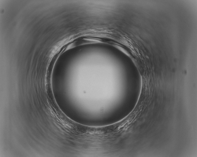 X0000086920340200704231311