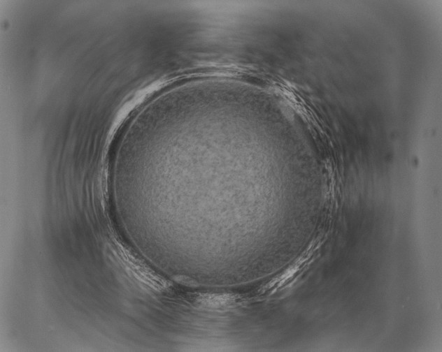 X0000086920342200704231311