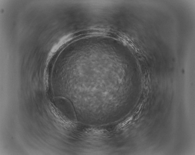 X0000086920343200704231311