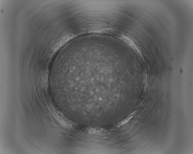 X0000086920346200704231311
