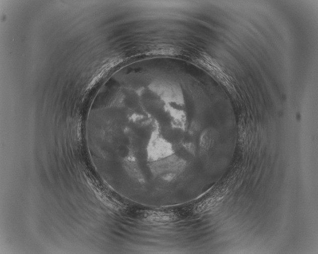 X0000086920347200704231311