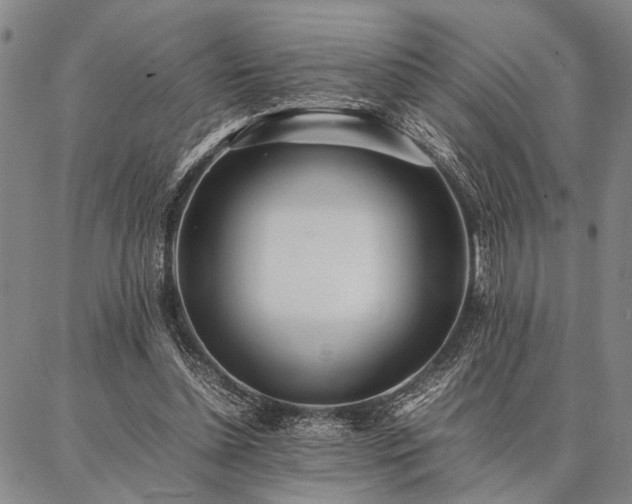 X0000086920348200704231311