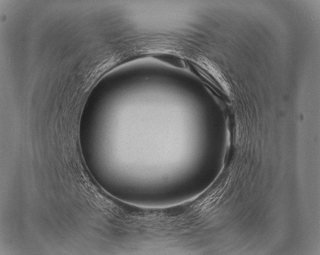 X0000086920385200704231311