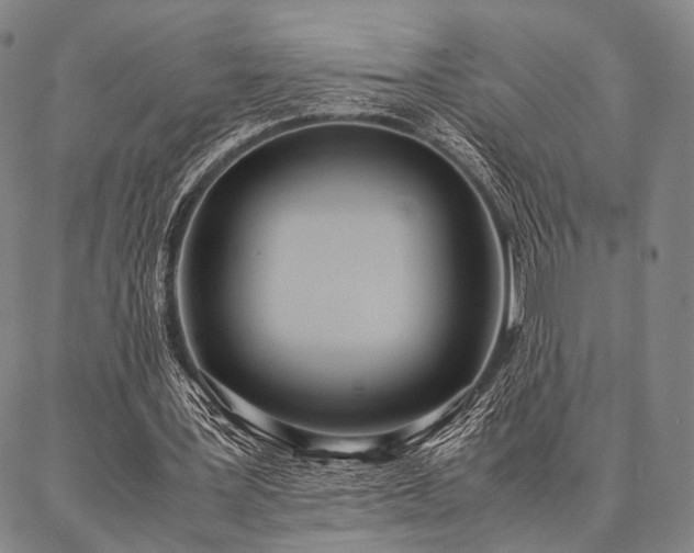 X0000086920387200704231310