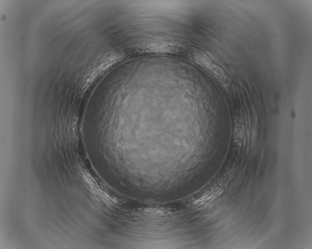 X0000086920394200704231310