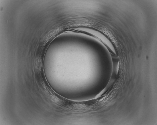 X0000086920397200704231310